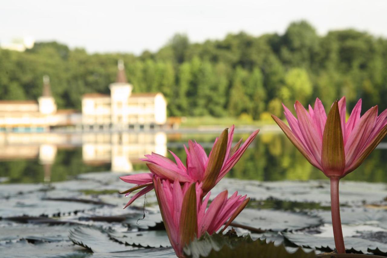 Piroska Villa Hévíz Dış mekan fotoğraf