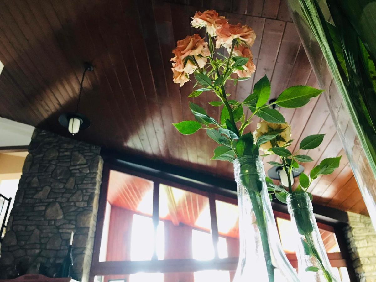 Piroska Villa Hévíz Dış mekan fotoğraf