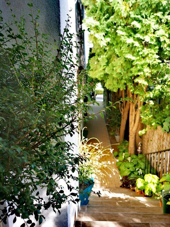 Piroska Villa Hévíz Dış mekan fotoğraf